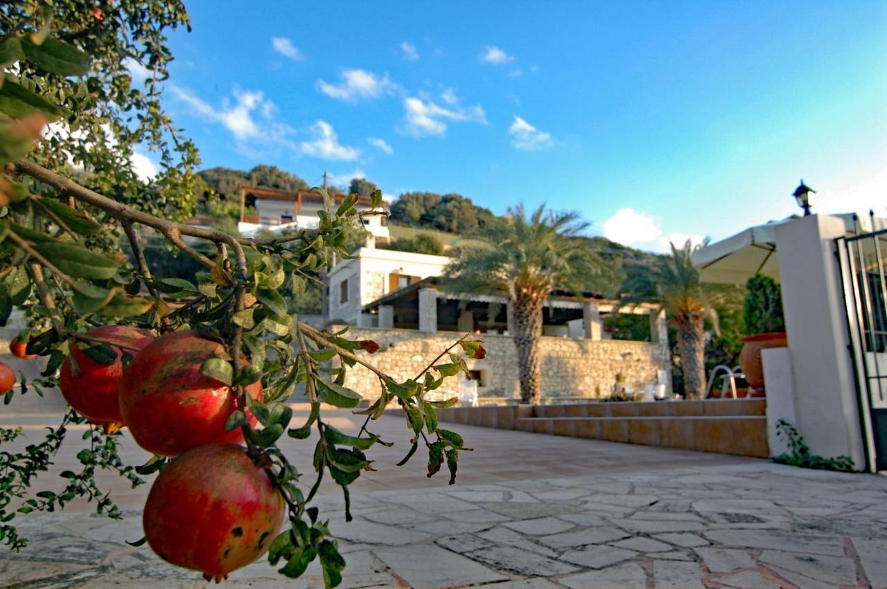 Kreta Villa Anastasia Sitia  Zewnętrze zdjęcie